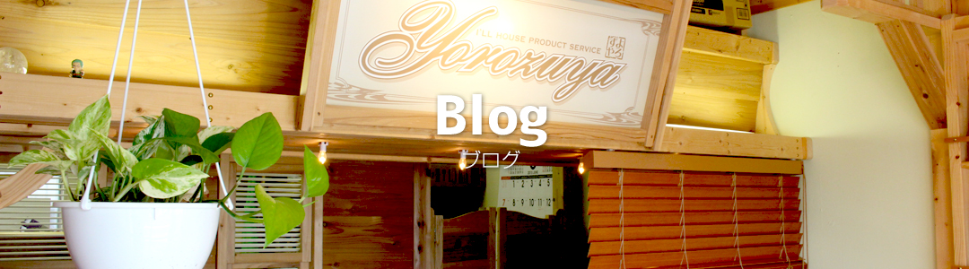 Blog